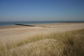A beach with a wooden jetty extending into the sea, surrounded by tall grass. - Holiday home with 1 bedroom (Cadzand-Bad)
