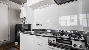 A modern kitchen with a built-in washer, a stainless steel sink, and a gas stove.