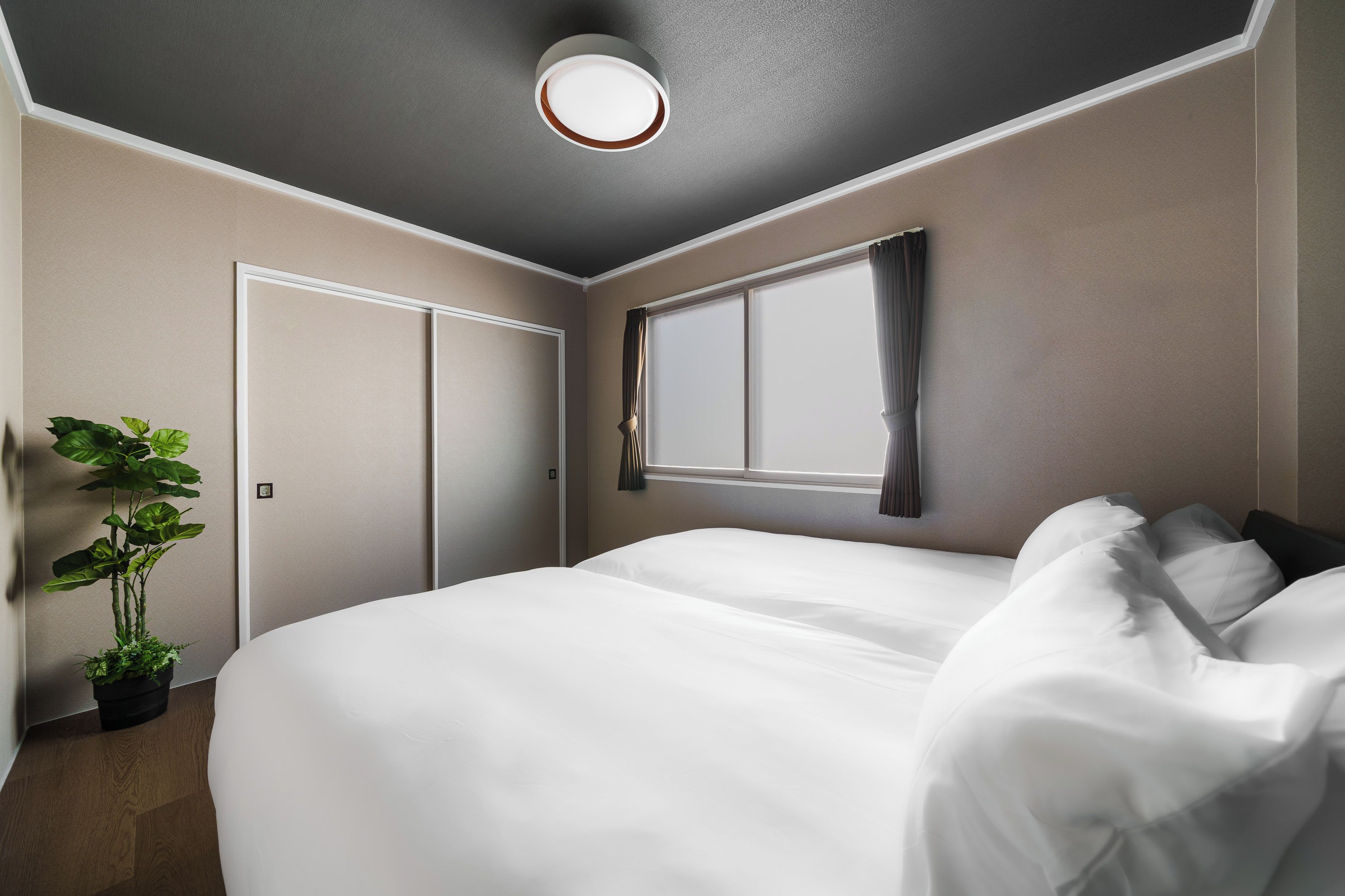 A hotel room with a bed, a potted plant, a window with curtains, and a door.