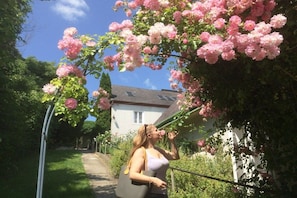 A pathway leading to a house with a garden.