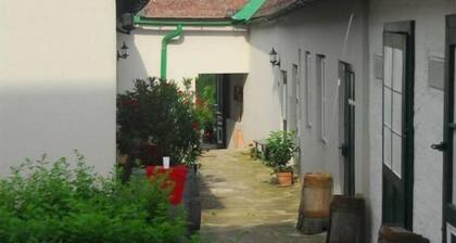 4 Weingut Hauerhof 99