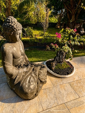 A stone Buddha statue in a garden setting with a bonsai tree.