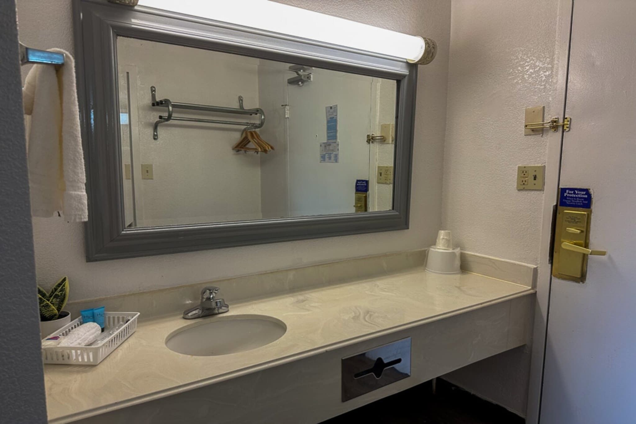 A bathroom with a large mirror, a sink, a towel rack, and a small plant.
