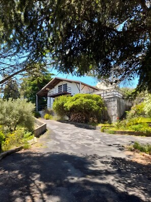 A house with a paved driveway leading to a gated entrance, surrounded by dense greenery and trees.