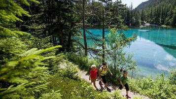 A group of people hiking on a forested trail with a lake in the background.