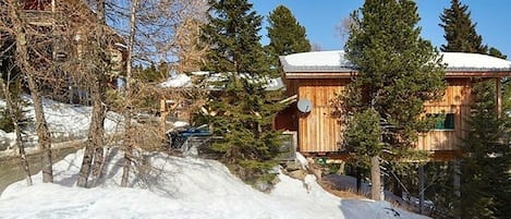 Een houten chalet met een schotelantenne, omringd door sneeuw en bomen.