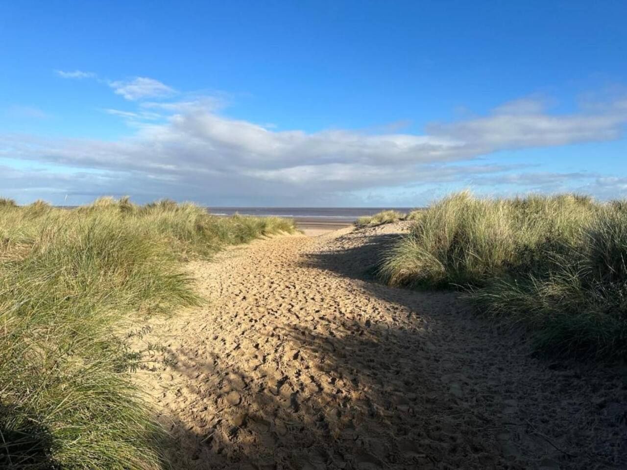 A sandy path leading to a beach with dunes on either side.