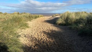 A sandy path leading to a beach with dunes on either side.