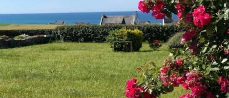 Une zone herbeuse bordée d’une haie et agrémentée d’un arbuste aux fleurs roses.