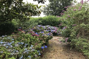 A garden path surrounded by various plants and flowers. - Breton stone house near the sea (Plounérin)