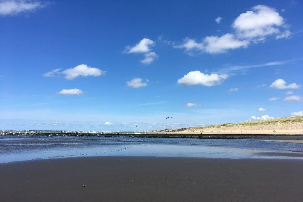 A beach with a clear sky and a sandy shore.