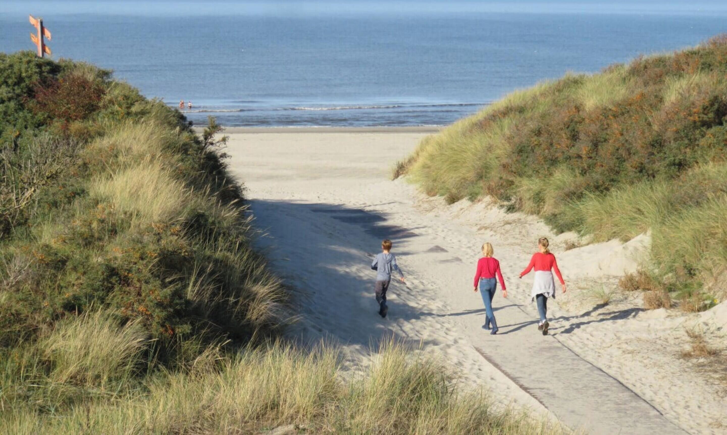 A pathway leading to a beach with grassy banks on either side.