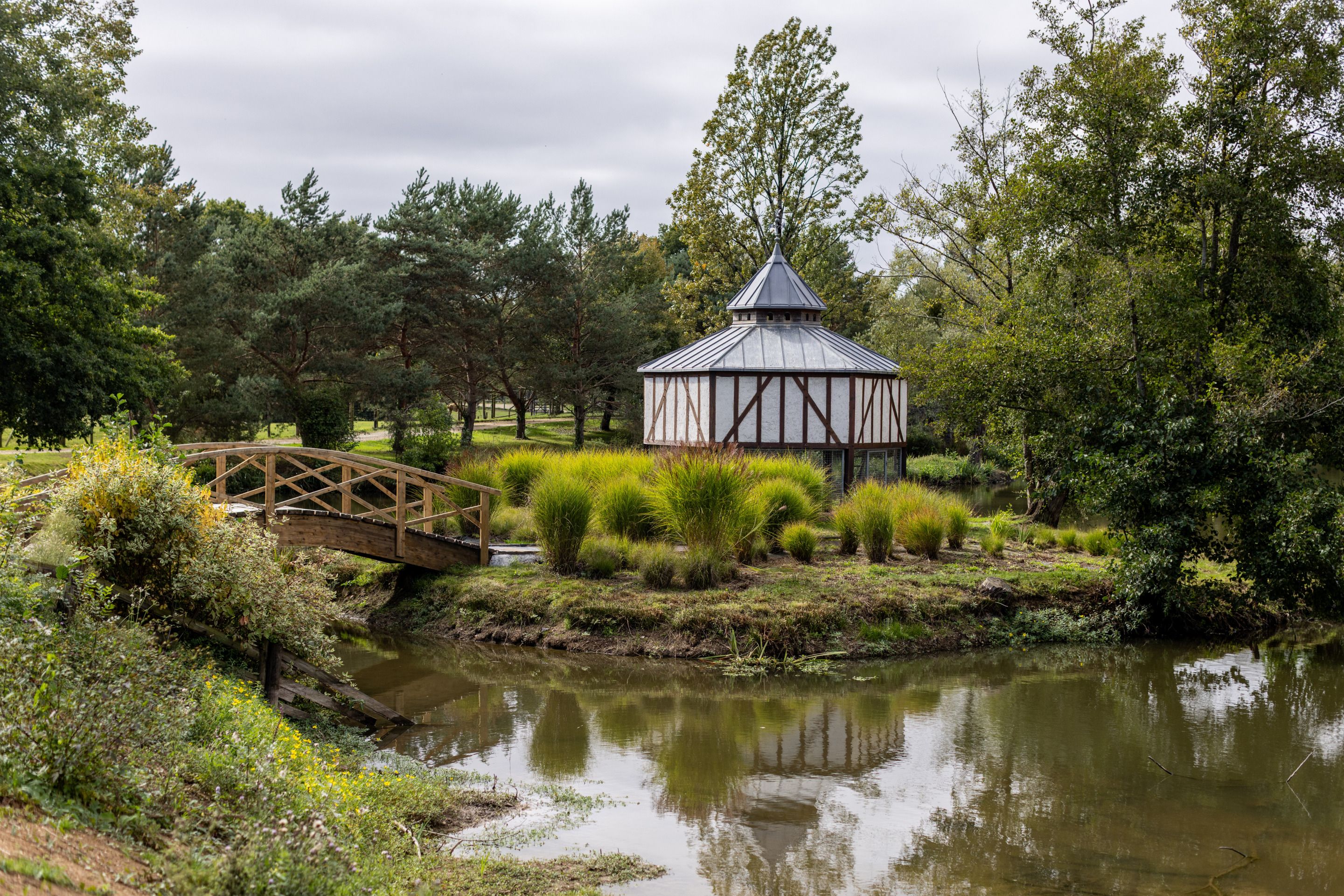 Een tuinpaviljoen met een metalen dak en houten constructie, omgeven door een vijver en begroeiing.