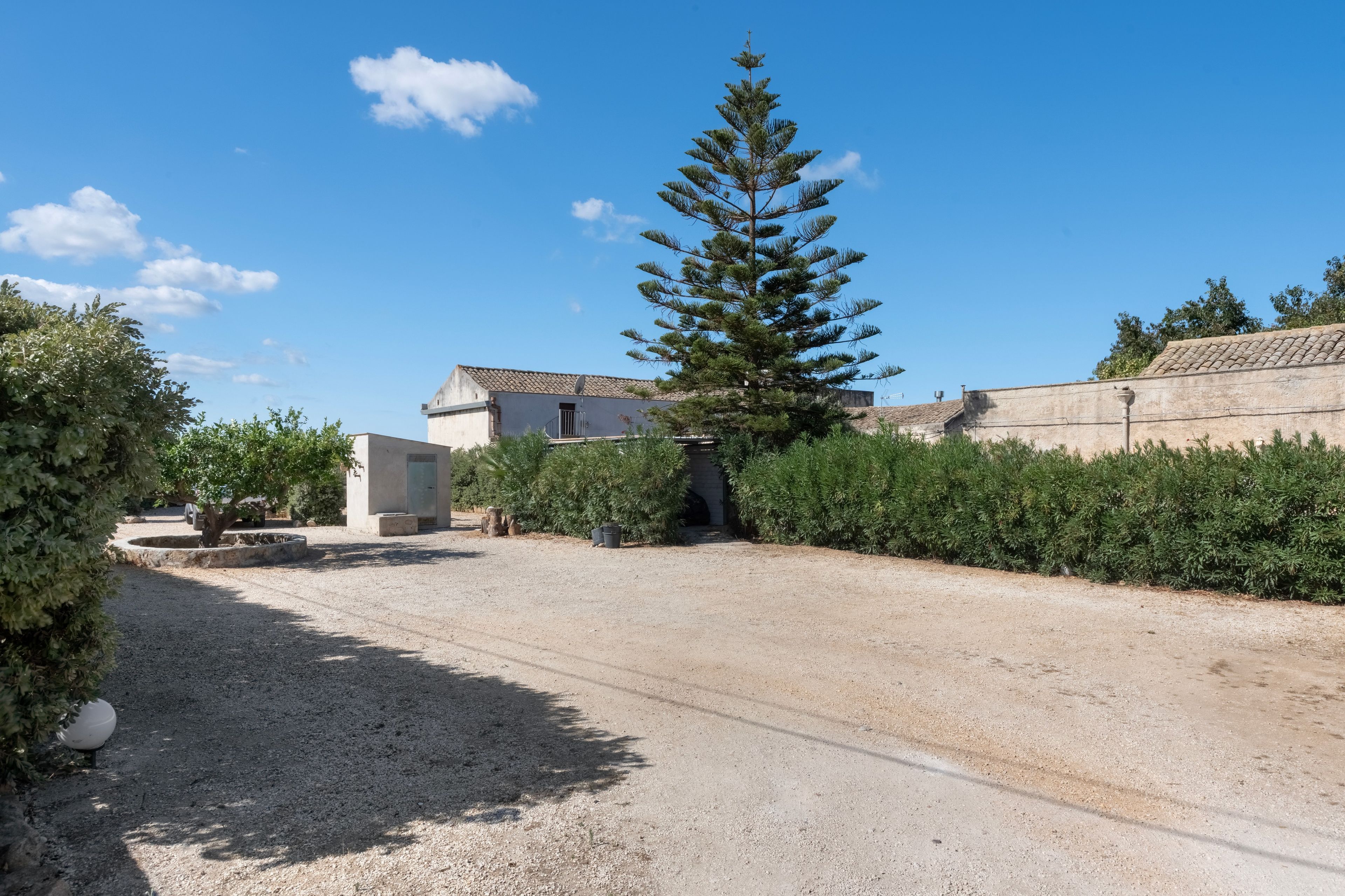 A gravel driveway leading to a building with a tiled roof, surrounded by greenery and a tall coniferous tree.