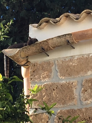 A stone wall with a tiled roof edge. - Room 'A Casa Di Giò Per Un Totale Relax' with Private Terrace, Wi-Fi and Air Conditioning (Guarrato)