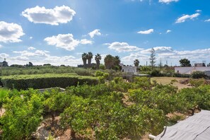 A vineyard with rows of grapevines, a clear sky, and a few scattered clouds. - Room 'A Casa Di Giò Per Un Totale Relax' with Private Terrace, Wi-Fi and Air Conditioning (Guarrato)