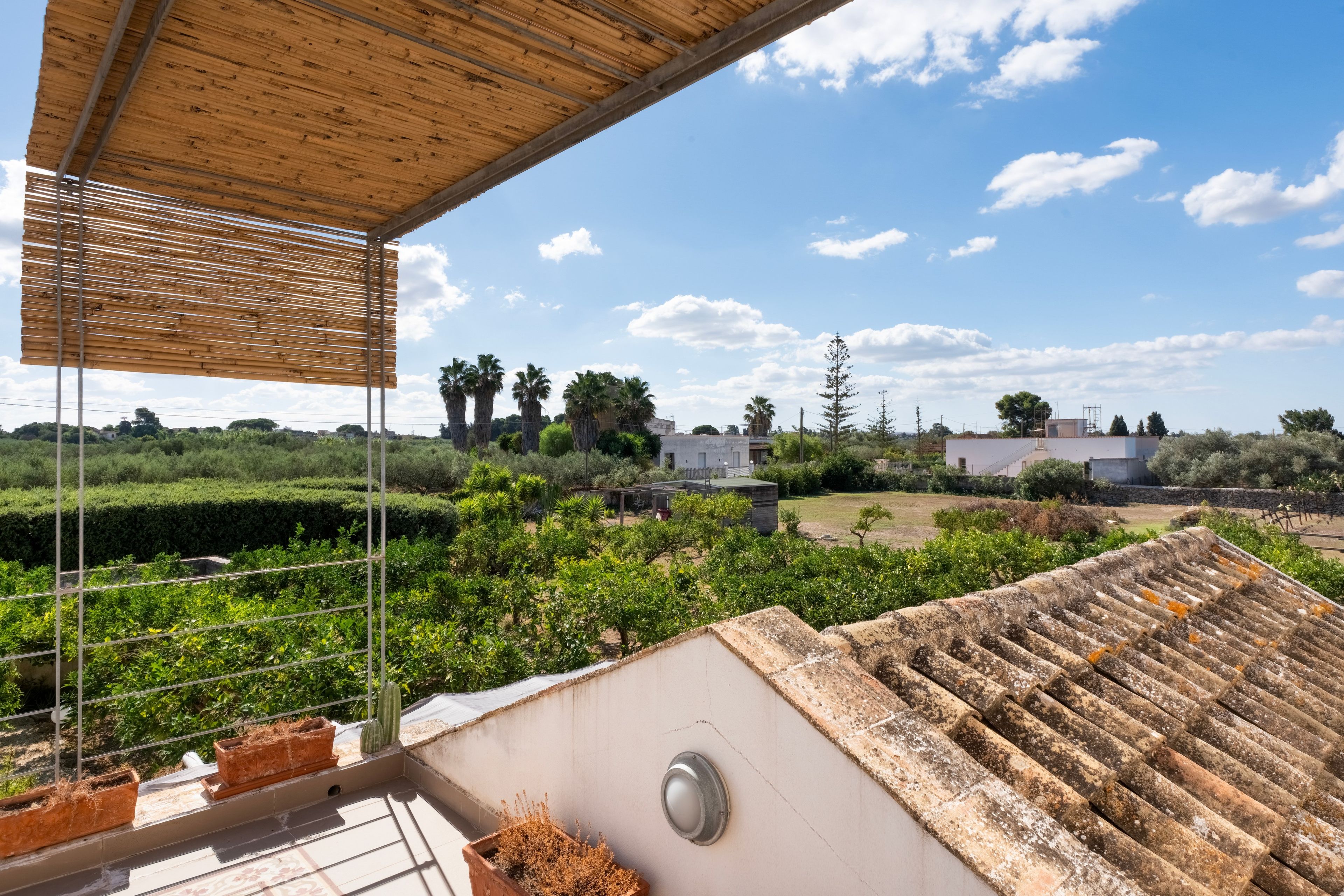 A rooftop terrace with a view of a landscaped garden, a wooden pergola, and a clear blue sky.