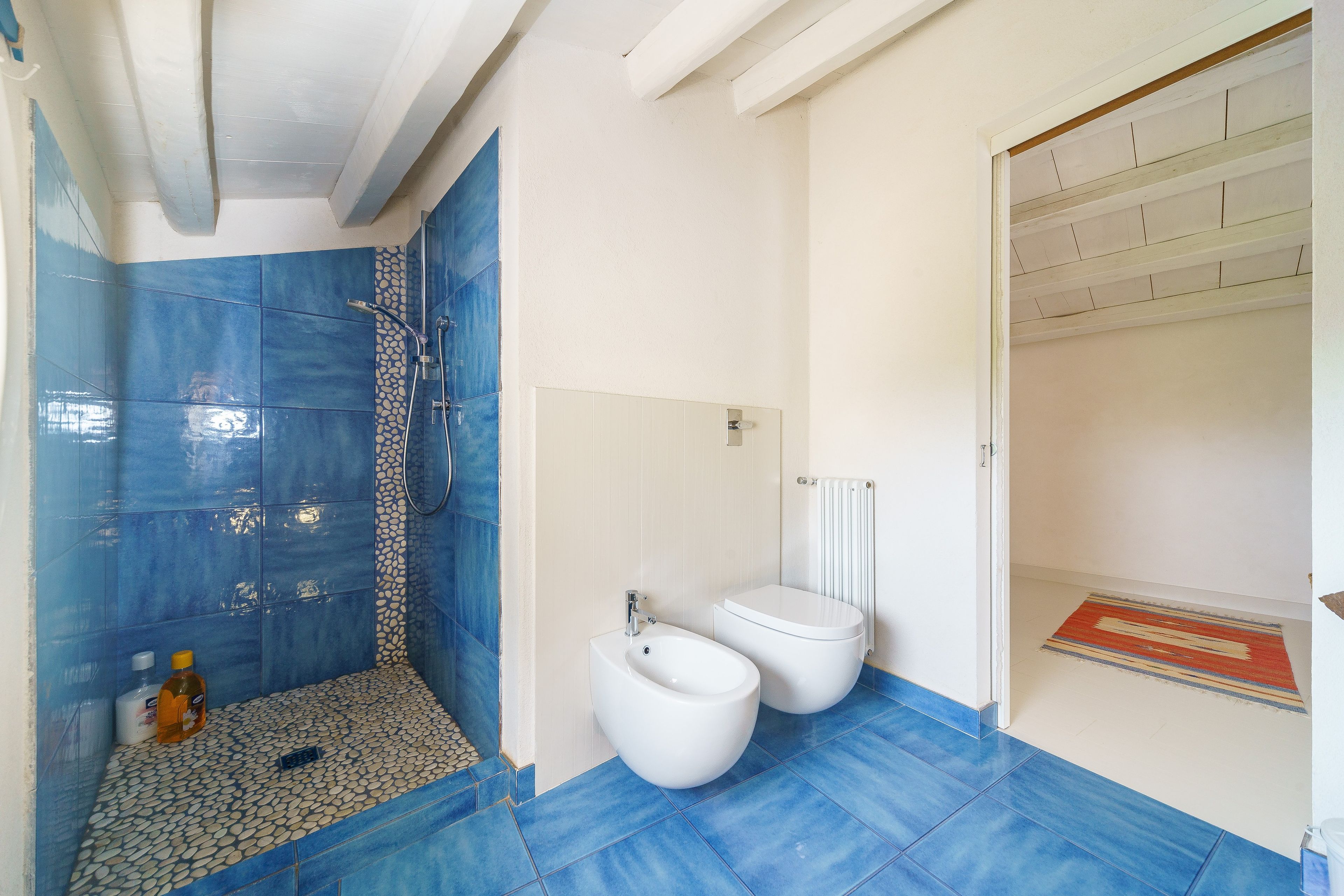A bathroom with a shower, toilet, and a radiator.