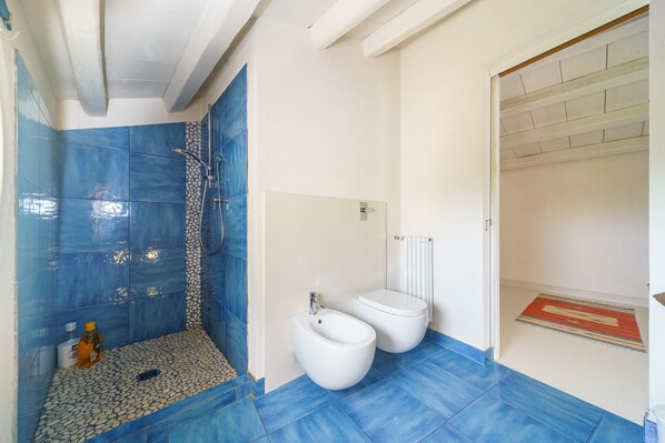 A bathroom with a shower, toilet, and a radiator.