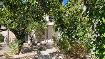 Un vialetto esterno circondato da vegetazione rigogliosa e alberi, che conduce a un edificio con facciata in pietra.