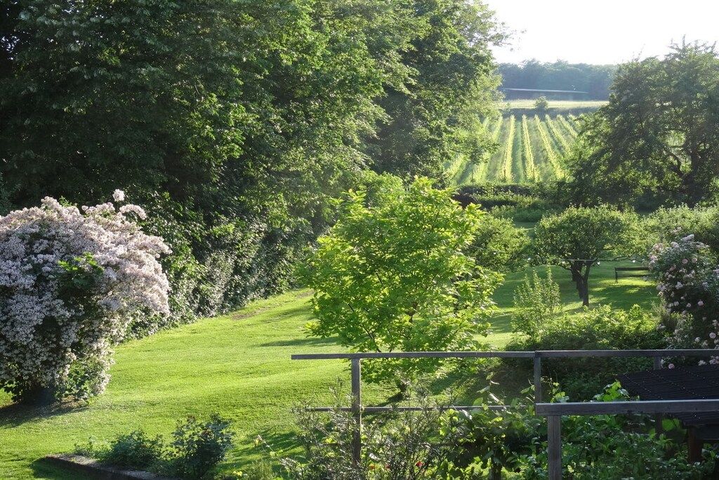 A lush garden with a variety of trees and shrubs, a well-maintained lawn, and a wooden fence.