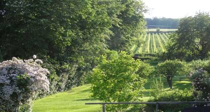 3 Weingut Hauerhof 99