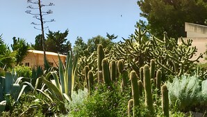 Un giardino con diversi cactus e piante succulente, un edificio sullo sfondo e un cielo azzurro limpido.