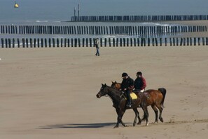 A beach with a wooden jetty in the background. - Holiday home with 1 bedroom (Cadzand-Bad)
