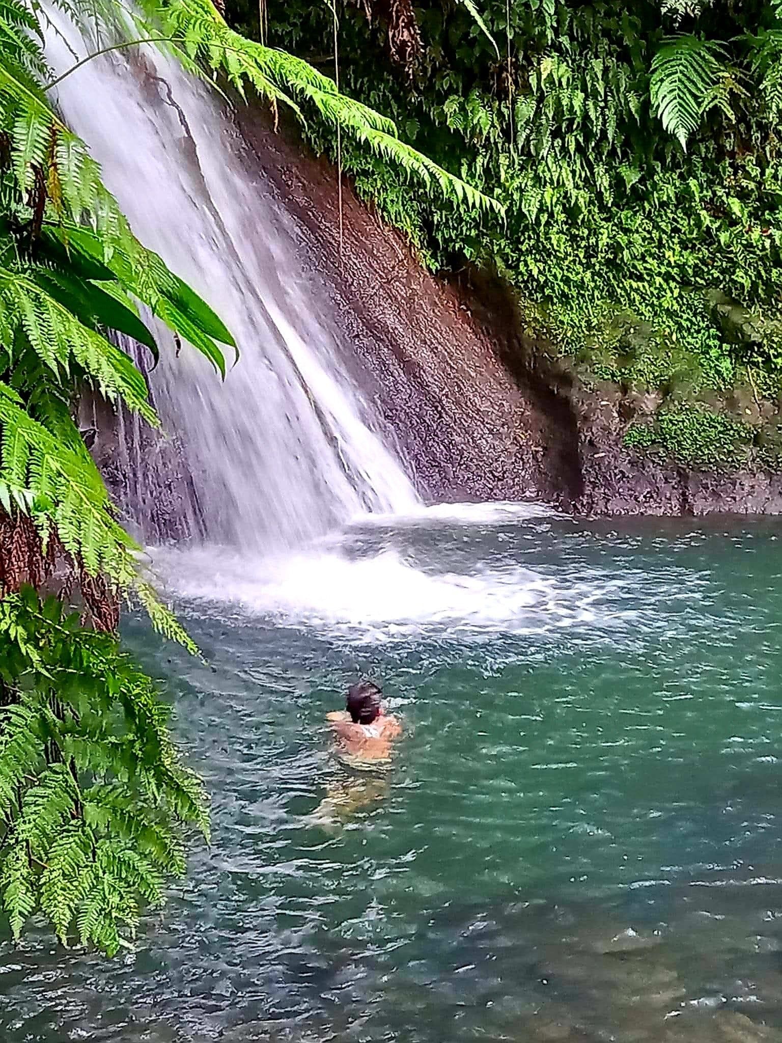 Une cascade dans une zone boisée, avec de l’eau claire, et une personne qui nage.