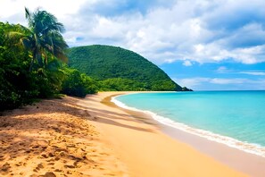 A beach with a sandy shore, a palm tree, and a mountain in the background.
