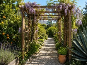 A garden pathway with a wooden pergola covered in purple flowers, surrounded by various plants and a gravel path. - A Private Oasis in Nature | Pool + Hot Tub (Málaga)