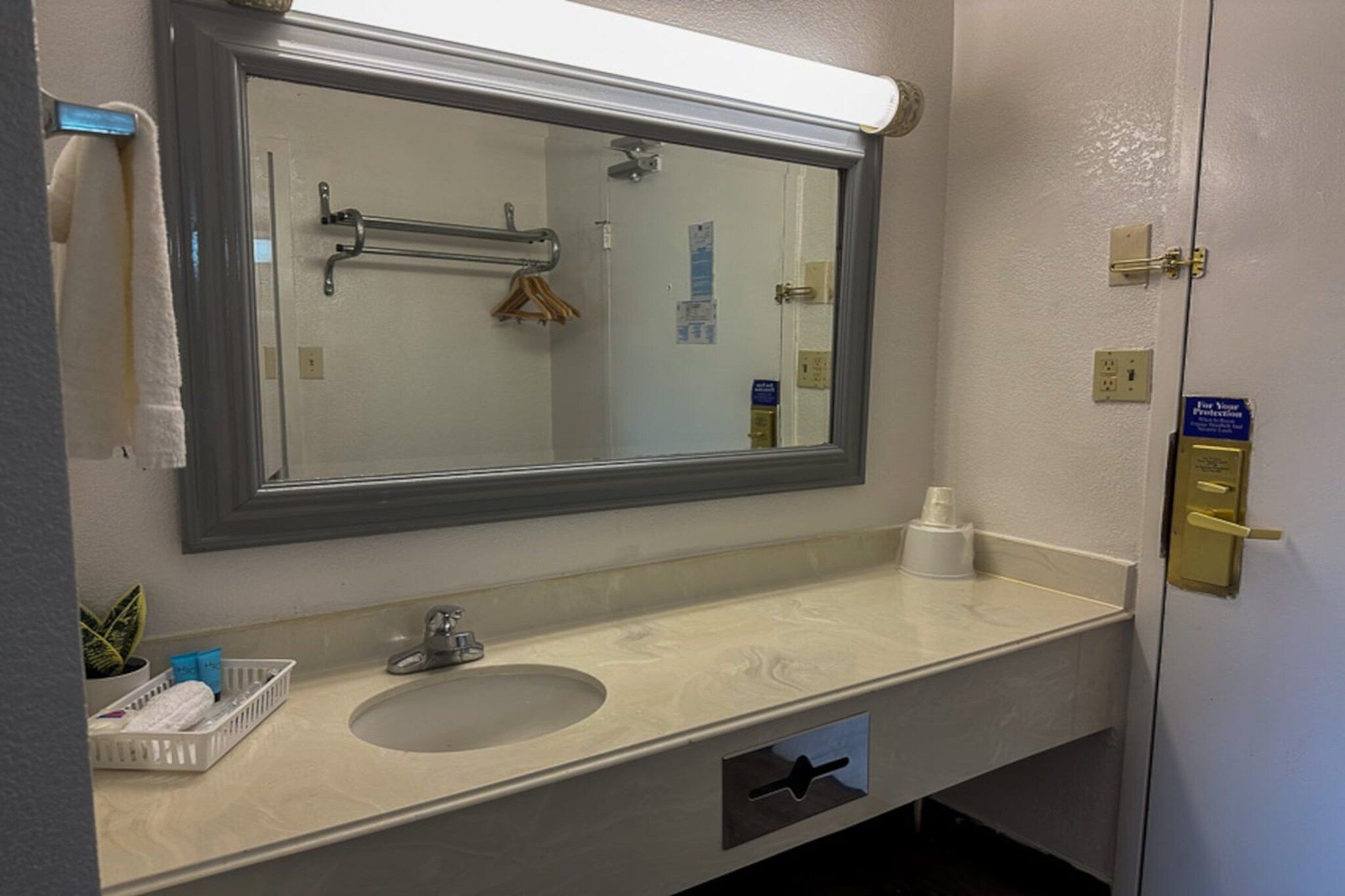 A hotel bathroom with a large mirror, a sink, a towel rack, and a small plant.
