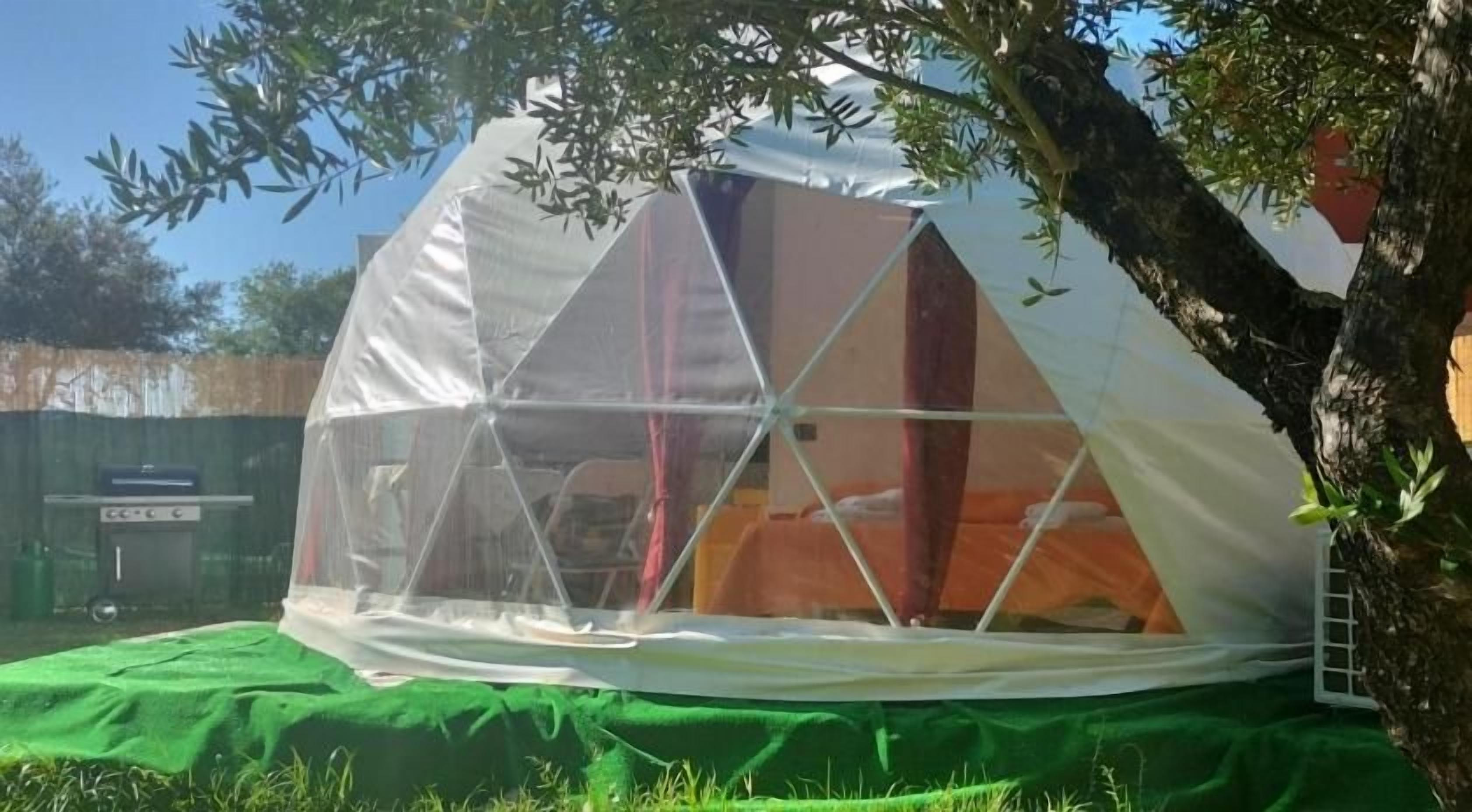 Een geodetische koepeltent met een transparante zijkant, opgesteld op een groene ondergrond buiten.