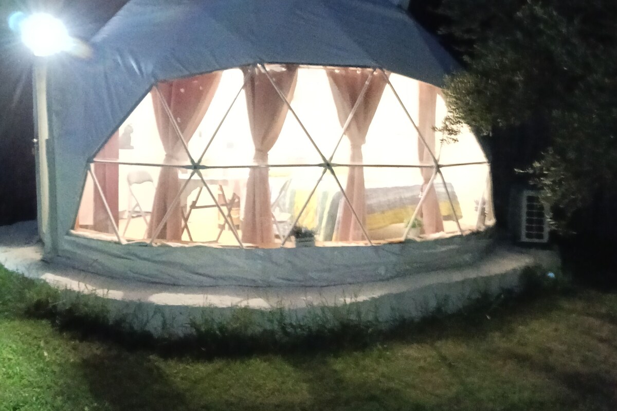 A dome-shaped structure with a transparent roof, surrounded by a grassy area.