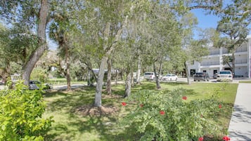 A residential area with multiple trees, a well-maintained lawn, and parked cars.