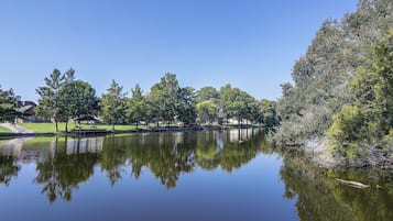 A tranquil lake with a clear reflection of trees and a gazebo.