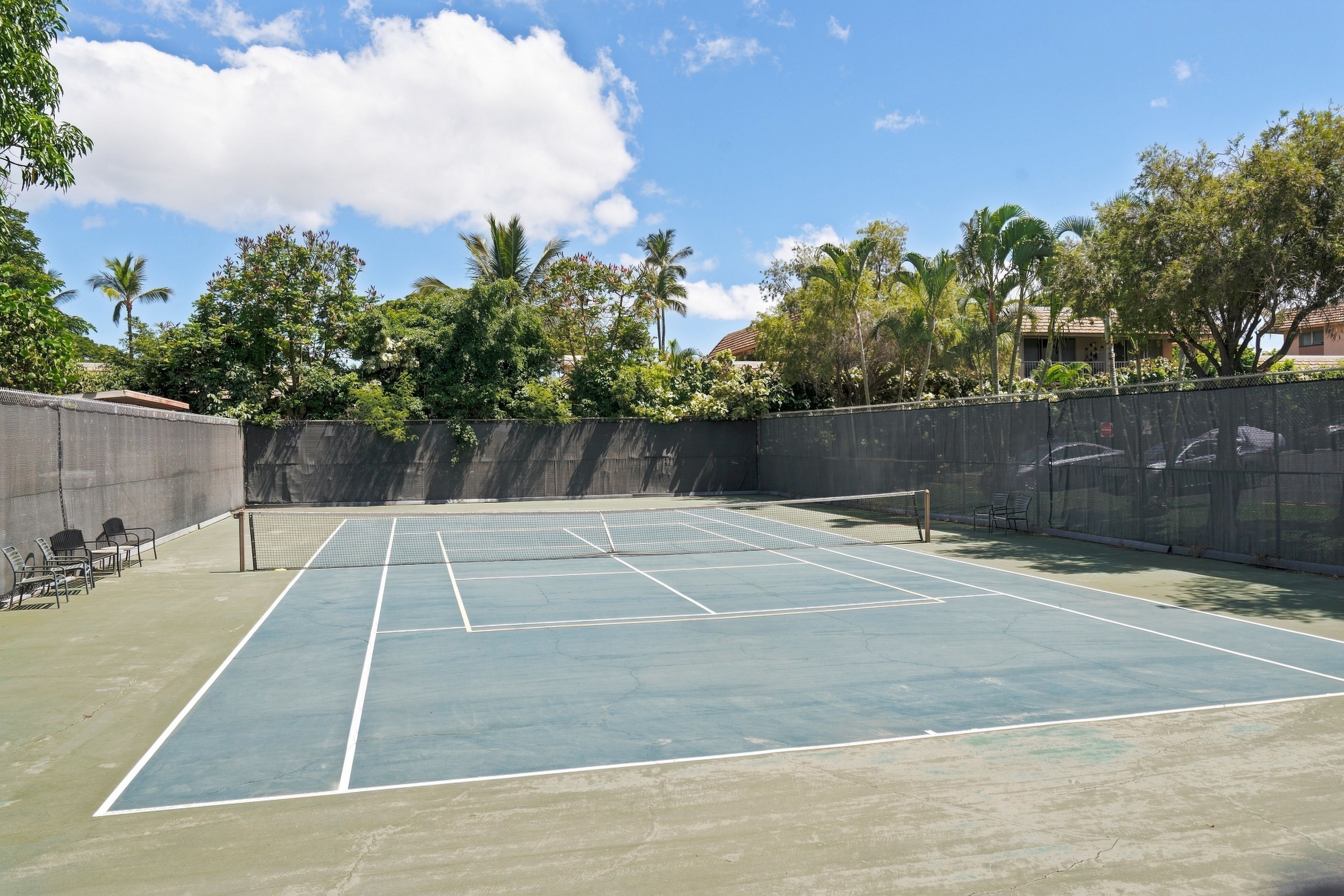 A tennis court with a net, surrounded by a fence, and trees in the background.