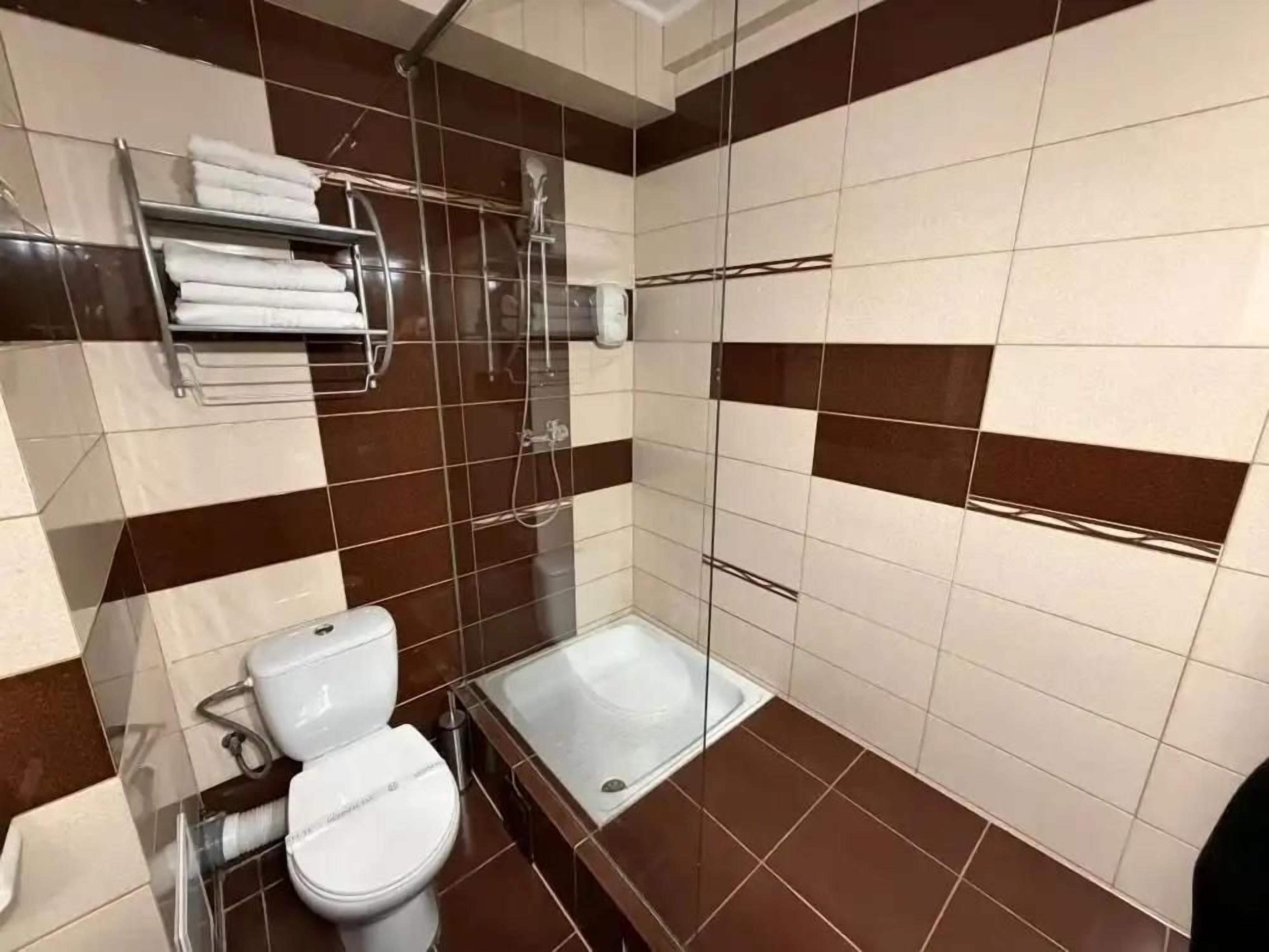 Ein Badezimmer mit Toilette, Dusche und Handtuchhalter.