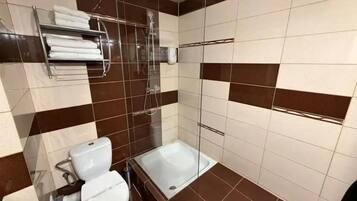 Ein Badezimmer mit Toilette, Dusche und Handtuchhalter.