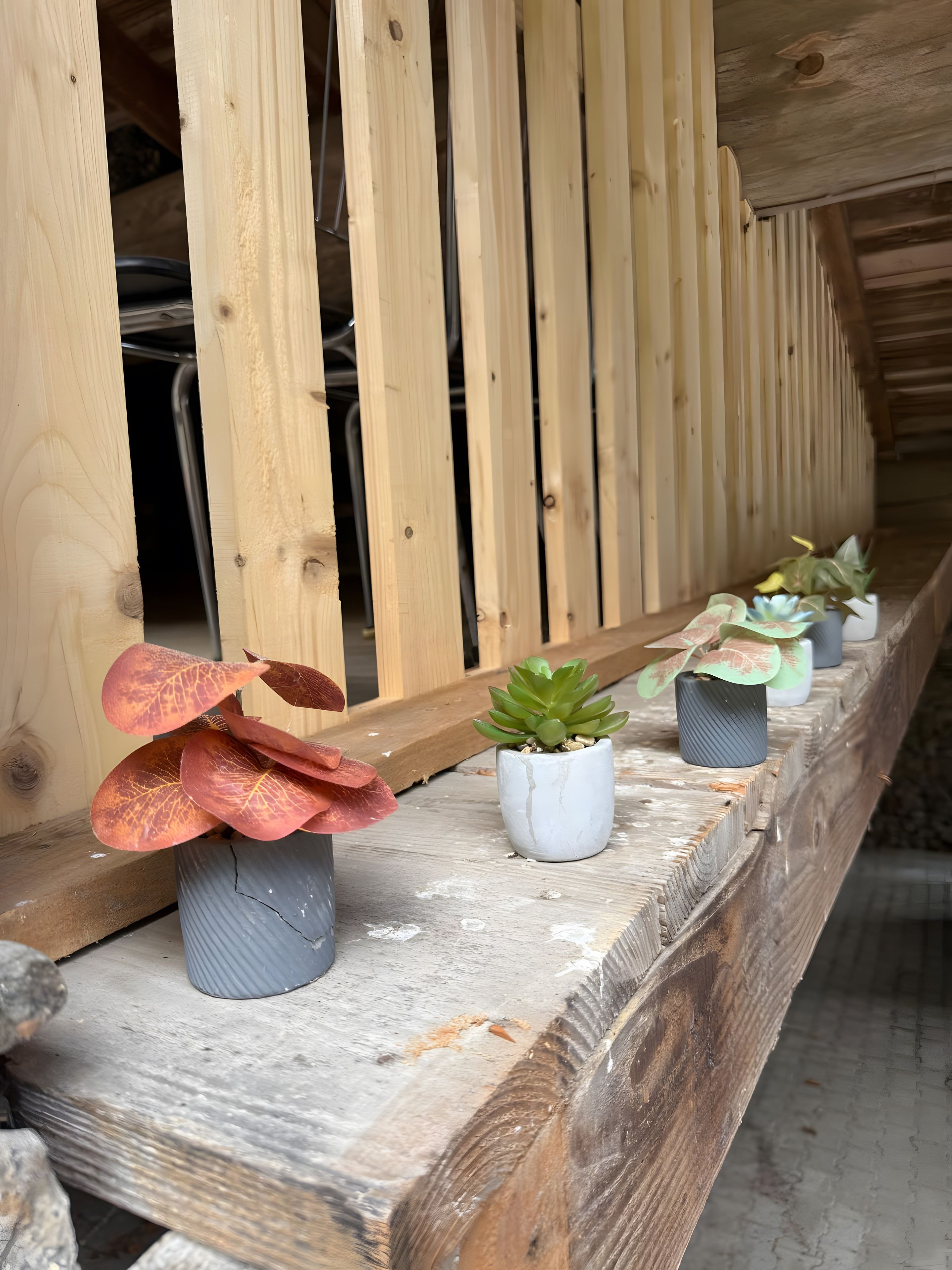 Un banc en bois agrémenté de plantes en pot.