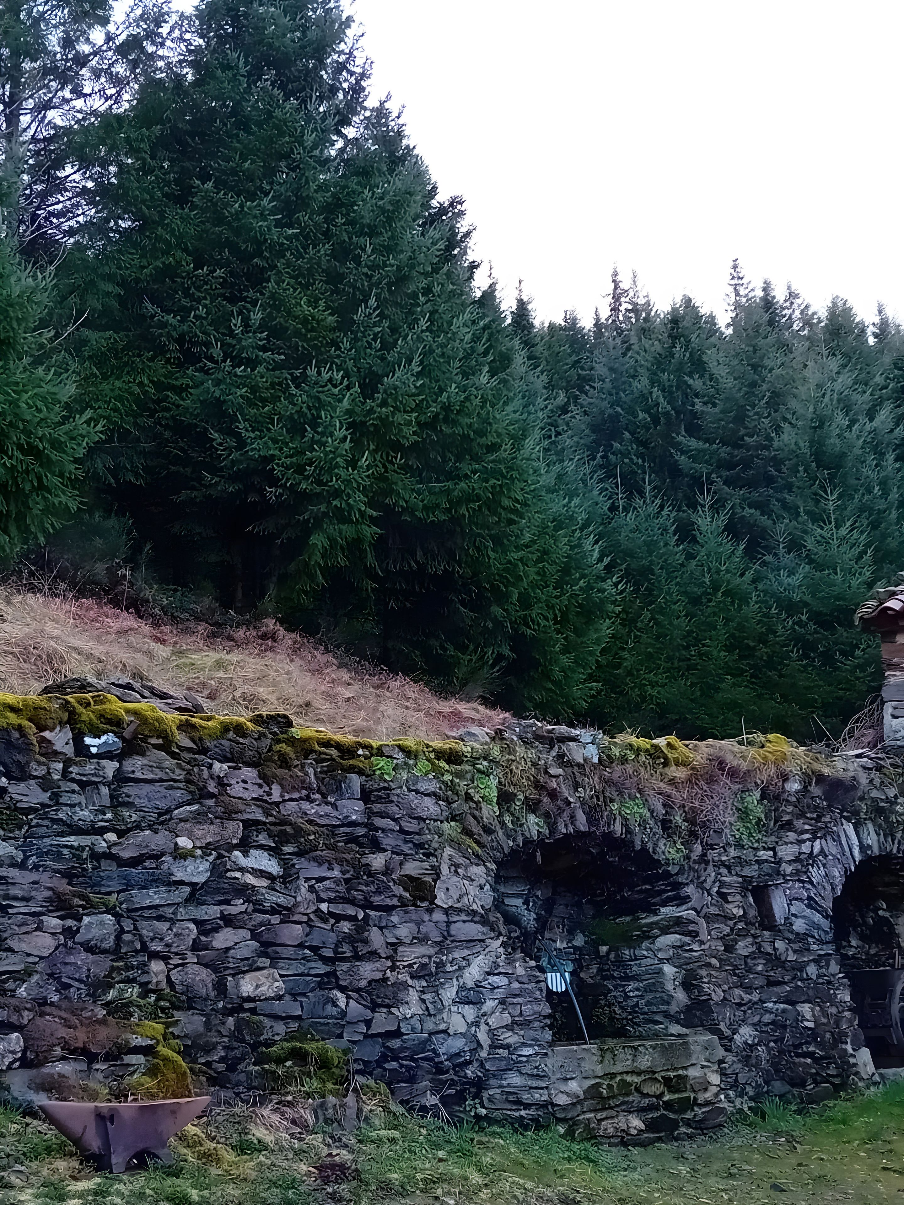 Muro de piedra con dos arcos, rodeado de árboles verdes y frondosos.
