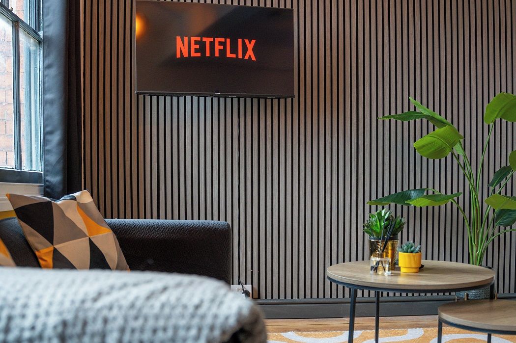 A modern living room with a television displaying 'NETFLIX,' a sofa with patterned cushions, a round coffee table with decorative items, and a large plant.