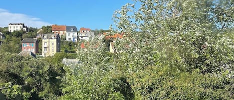 A residential area with houses, a lawn, and a tree.