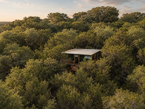 A secluded cabin surrounded by dense forest. - Treetop Cabin: Hot Tub, Outdoor Shower & Views (Valley Mills)