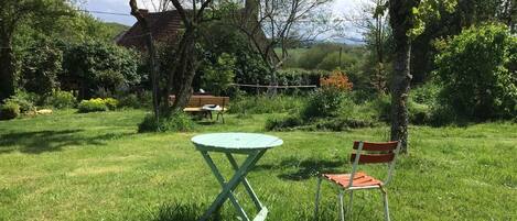 A grassy outdoor area with a table and chairs, surrounded by trees and a bench.