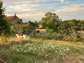 A rural landscape with a house, trees, and a field of white flowers.