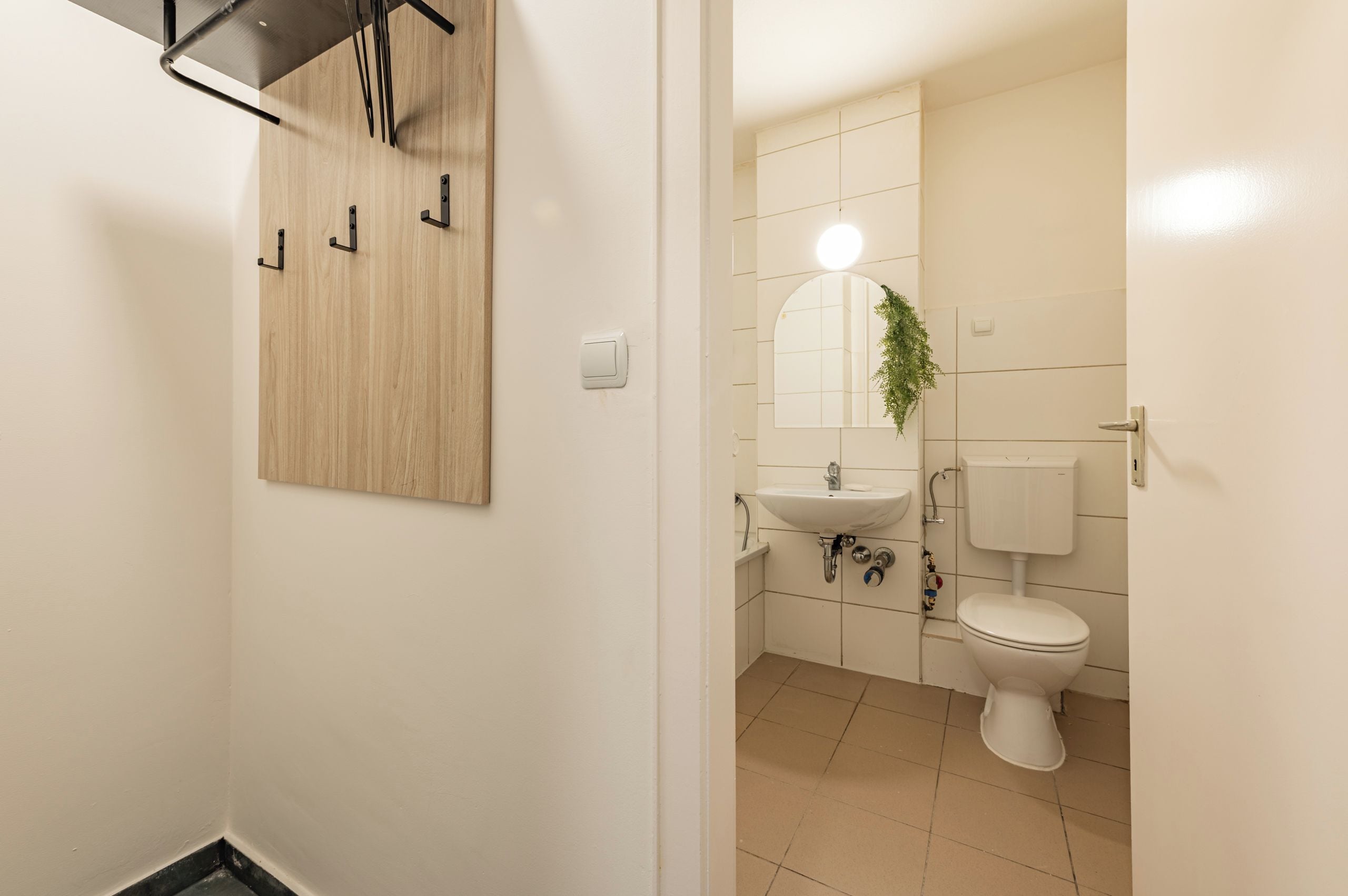 Un baño con pared de paneles de madera, un lavabo blanco, un espejo, un inodoro y una planta colgante.