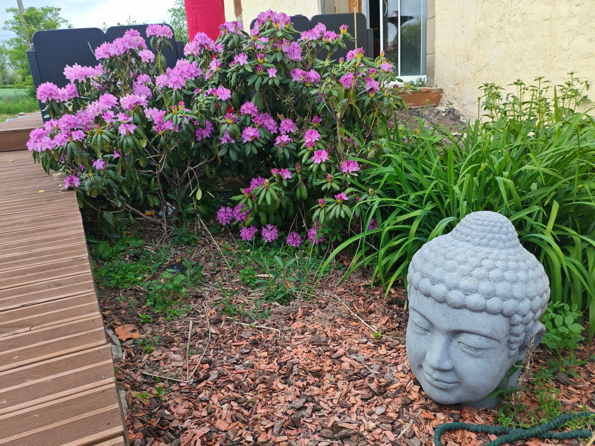 Un giardino con una statua di testa di Buddha, un pontile in legno e arbusti fioriti.
