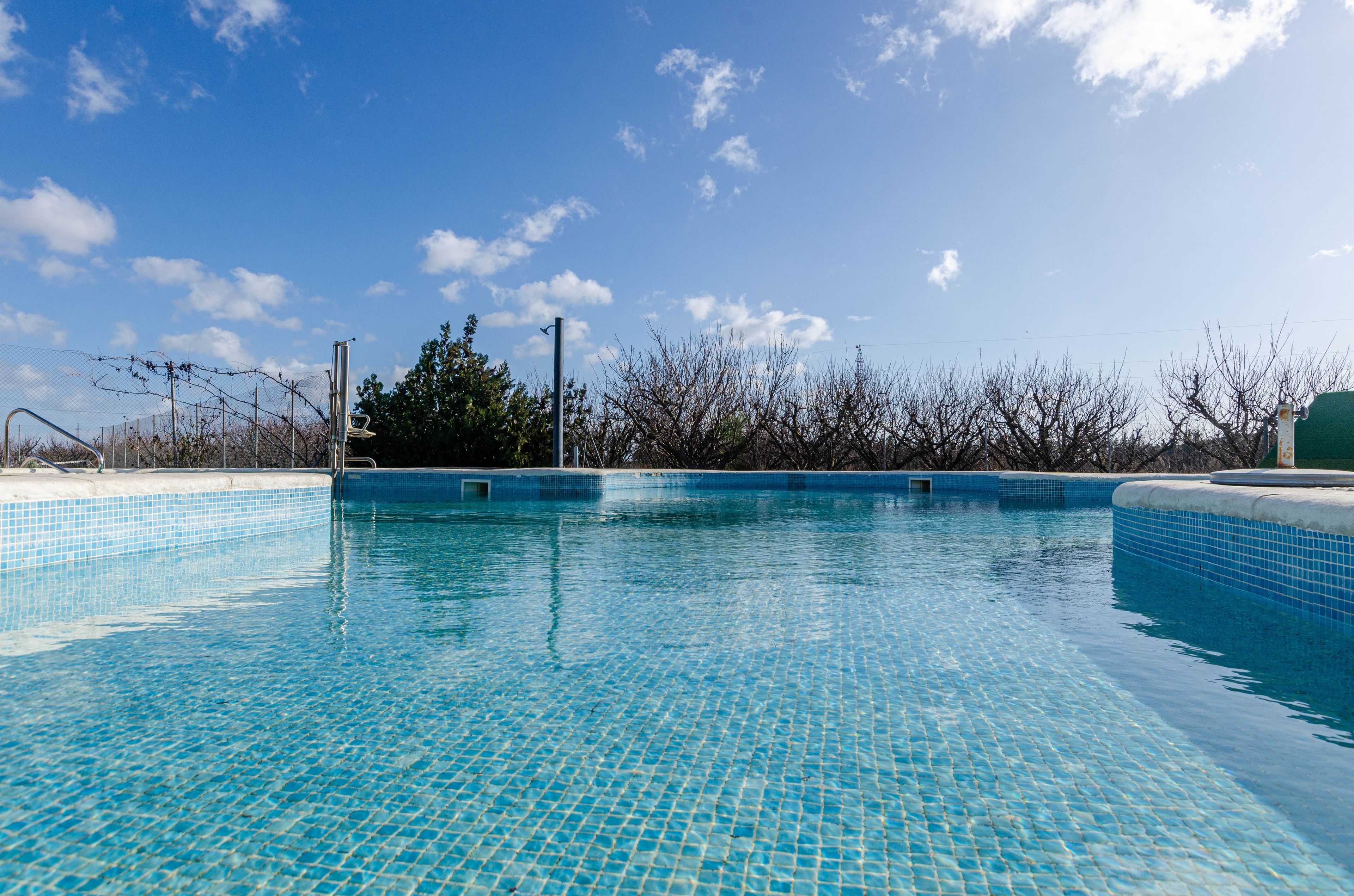 A clear blue swimming pool with tiled edges, surrounded by a fence and trees.