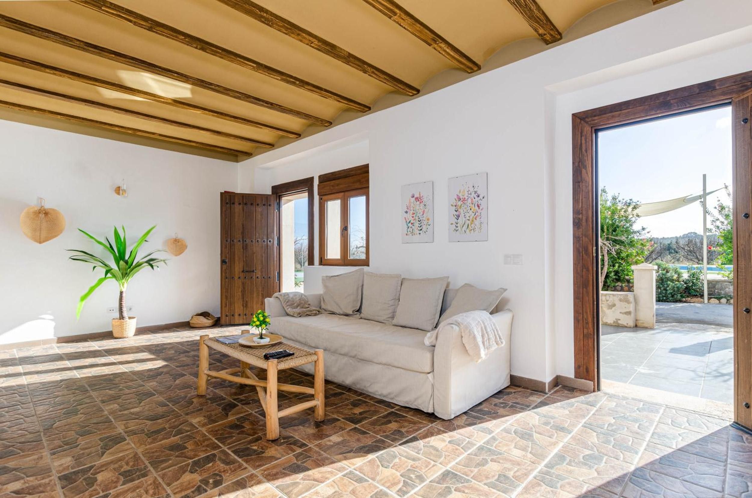 A living room with a sofa, a coffee table, and a potted plant.